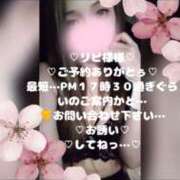 ヒメ日記 2026/04/11 15:30 投稿 ラン 煌-kirameki-
