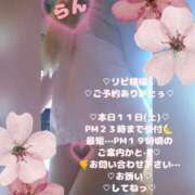 ヒメ日記 2026/04/11 17:38 投稿 ラン 煌-kirameki-