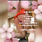 ヒメ日記 2026/04/13 18:50 投稿 ラン 煌-kirameki-