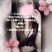 ヒメ日記 2026/04/14 11:52 投稿 ラン 煌-kirameki-