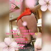 ヒメ日記 2026/04/14 14:18 投稿 ラン 煌-kirameki-