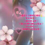 ヒメ日記 2026/04/14 19:46 投稿 ラン 煌-kirameki-