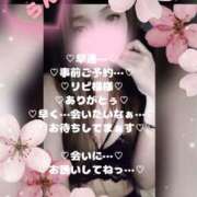 ヒメ日記 2026/04/17 15:12 投稿 ラン 煌-kirameki-