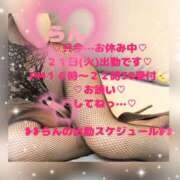 ヒメ日記 2026/04/19 14:36 投稿 ラン 煌-kirameki-