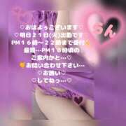 ヒメ日記 2026/04/20 10:33 投稿 ラン 煌-kirameki-