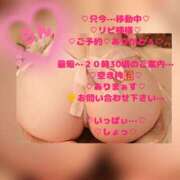 ヒメ日記 2026/04/21 19:17 投稿 ラン 煌-kirameki-