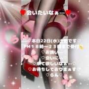 ヒメ日記 2026/04/22 15:40 投稿 ラン 煌-kirameki-