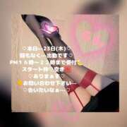 ヒメ日記 2026/04/23 15:05 投稿 ラン 煌-kirameki-