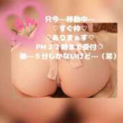 ヒメ日記 2026/04/23 21:57 投稿 ラン 煌-kirameki-