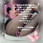 ヒメ日記 2026/04/24 14:43 投稿 ラン 煌-kirameki-