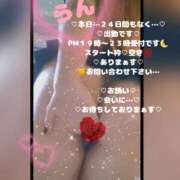ヒメ日記 2026/04/24 17:27 投稿 ラン 煌-kirameki-