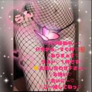 ヒメ日記 2026/04/24 21:46 投稿 ラン 煌-kirameki-