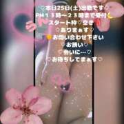 ヒメ日記 2026/04/25 11:23 投稿 ラン 煌-kirameki-