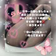 ヒメ日記 2026/04/26 13:44 投稿 ラン 煌-kirameki-