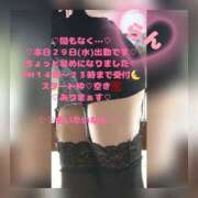 ヒメ日記 2026/04/29 12:54 投稿 ラン 煌-kirameki-
