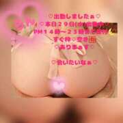 ヒメ日記 2026/04/29 14:47 投稿 ラン 煌-kirameki-