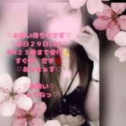 ヒメ日記 2026/04/29 17:40 投稿 ラン 煌-kirameki-