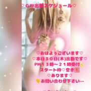 ヒメ日記 2026/04/30 11:35 投稿 ラン 煌-kirameki-