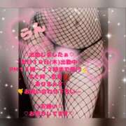 ヒメ日記 2026/04/30 14:01 投稿 ラン 煌-kirameki-