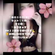 ヒメ日記 2026/04/30 21:25 投稿 ラン 煌-kirameki-