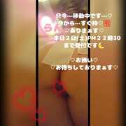 ヒメ日記 2026/05/02 18:18 投稿 ラン 煌-kirameki-