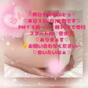 ヒメ日記 2026/05/03 10:44 投稿 ラン 煌-kirameki-