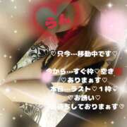ヒメ日記 2026/05/06 20:31 投稿 ラン 煌-kirameki-