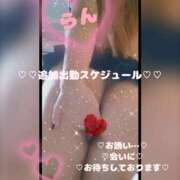 ヒメ日記 2026/05/07 21:41 投稿 ラン 煌-kirameki-