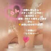 ヒメ日記 2026/05/10 13:39 投稿 ラン 煌-kirameki-