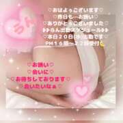 ヒメ日記 2026/05/20 10:36 投稿 ラン 煌-kirameki-