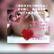 ヒメ日記 2026/05/25 21:34 投稿 ラン 煌-kirameki-