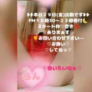 ヒメ日記 2026/05/29 12:49 投稿 ラン 煌-kirameki-