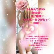 ヒメ日記 2026/05/30 02:59 投稿 ラン 煌-kirameki-
