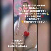 ヒメ日記 2026/06/01 17:39 投稿 ラン 煌-kirameki-