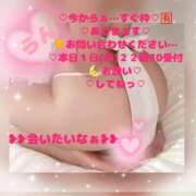 ヒメ日記 2026/06/01 20:42 投稿 ラン 煌-kirameki-