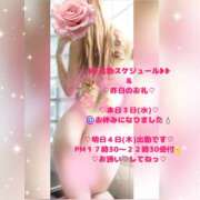 ヒメ日記 2026/06/03 12:02 投稿 ラン 煌-kirameki-