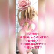 ヒメ日記 2026/06/10 19:15 投稿 ラン 煌-kirameki-