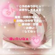 ヒメ日記 2026/06/20 16:28 投稿 ラン 煌-kirameki-