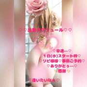 ヒメ日記 2026/06/29 21:15 投稿 ラン 煌-kirameki-