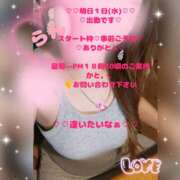 ヒメ日記 2026/06/30 12:03 投稿 ラン 煌-kirameki-