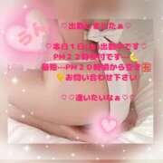 ヒメ日記 2026/07/01 16:49 投稿 ラン 煌-kirameki-