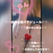 ヒメ日記 2026/07/08 09:59 投稿 ラン 煌-kirameki-