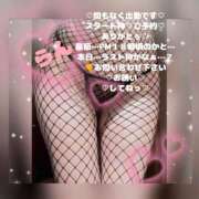 ヒメ日記 2026/07/08 15:16 投稿 ラン 煌-kirameki-