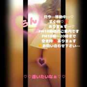 ヒメ日記 2026/07/08 17:54 投稿 ラン 煌-kirameki-
