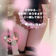 ヒメ日記 2026/07/31 16:44 投稿 ラン 煌-kirameki-