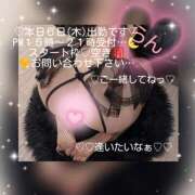 ヒメ日記 2026/08/06 11:26 投稿 ラン 煌-kirameki-