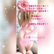 ヒメ日記 2026/08/27 14:16 投稿 ラン 煌-kirameki-
