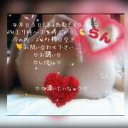 ヒメ日記 2026/09/03 15:16 投稿 ラン 煌-kirameki-