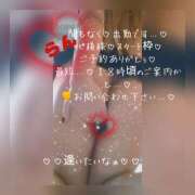 ヒメ日記 2026/09/08 15:59 投稿 ラン 煌-kirameki-