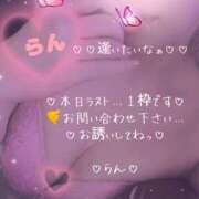ヒメ日記 2026/10/02 20:43 投稿 ラン 煌-kirameki-